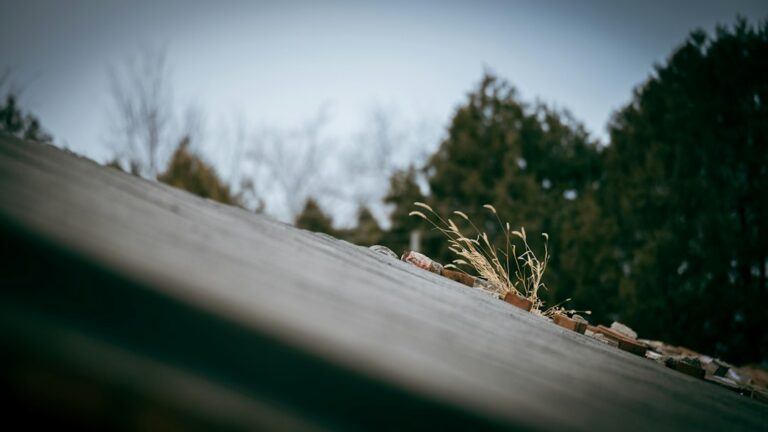 A homeowner inspects attic insulation beneath a residential roof while checking for moisture and ventilation problems.